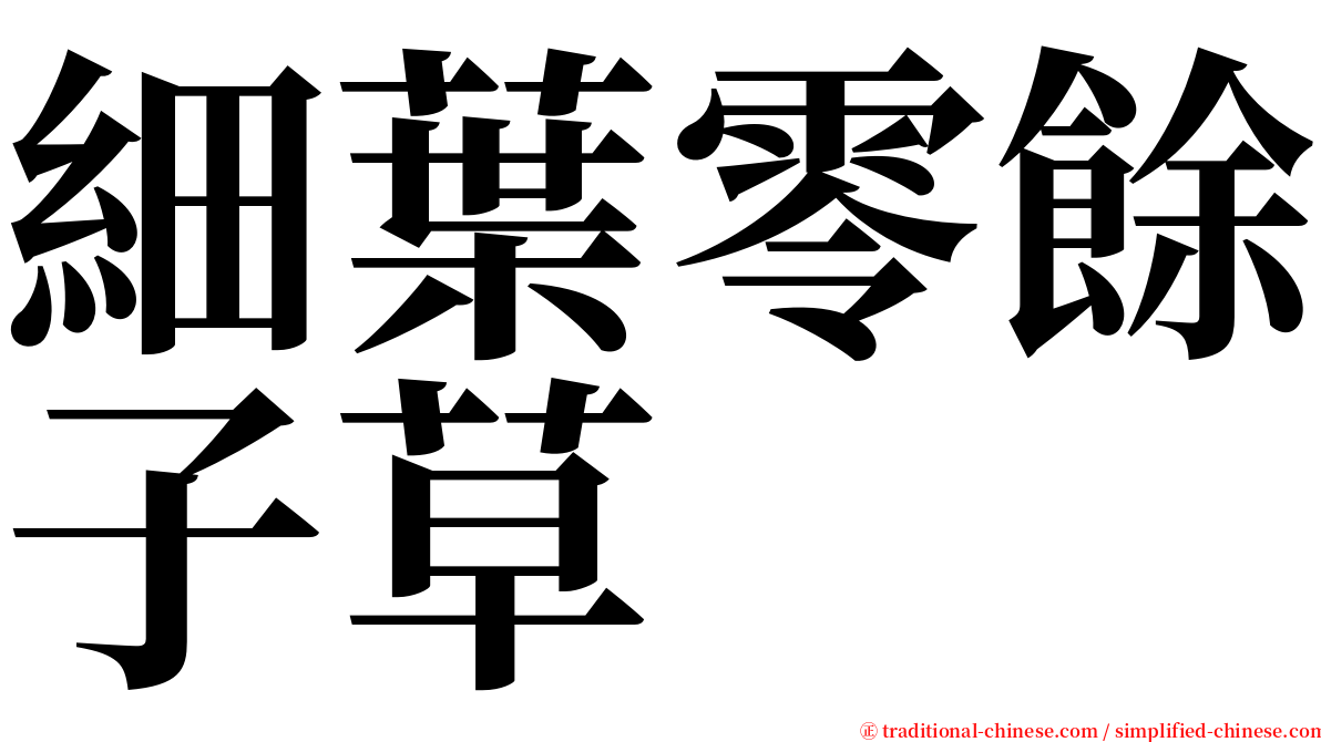 細葉零餘子草 serif font