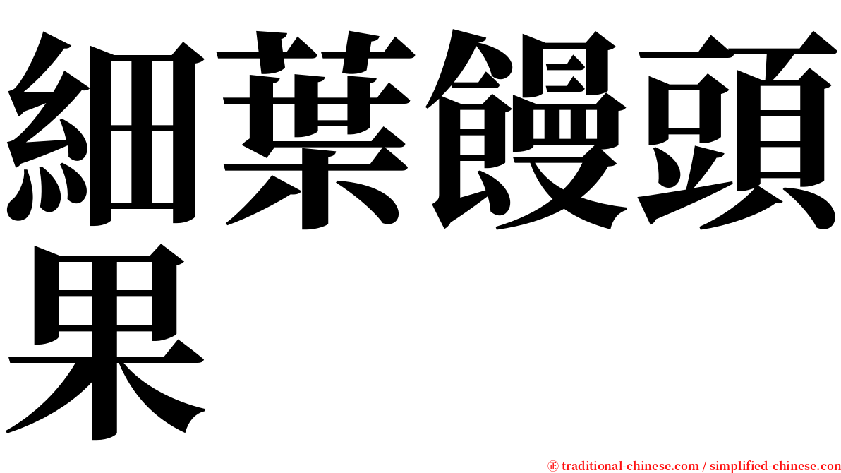 細葉饅頭果 serif font