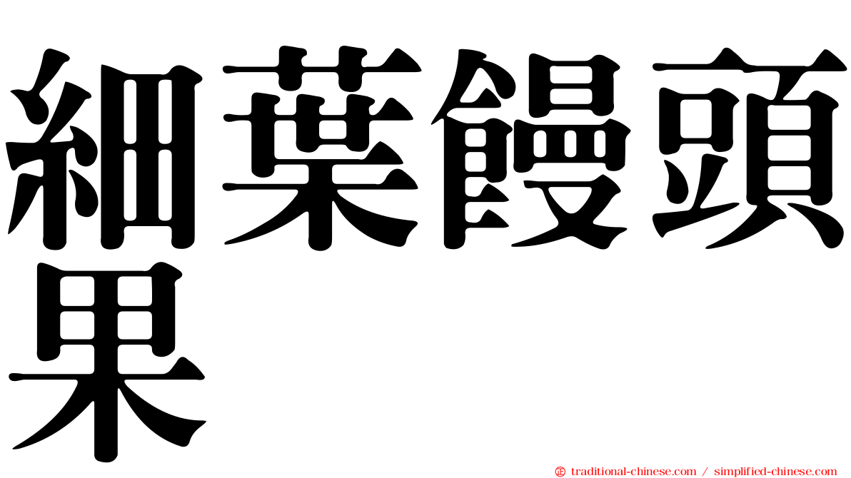 細葉饅頭果