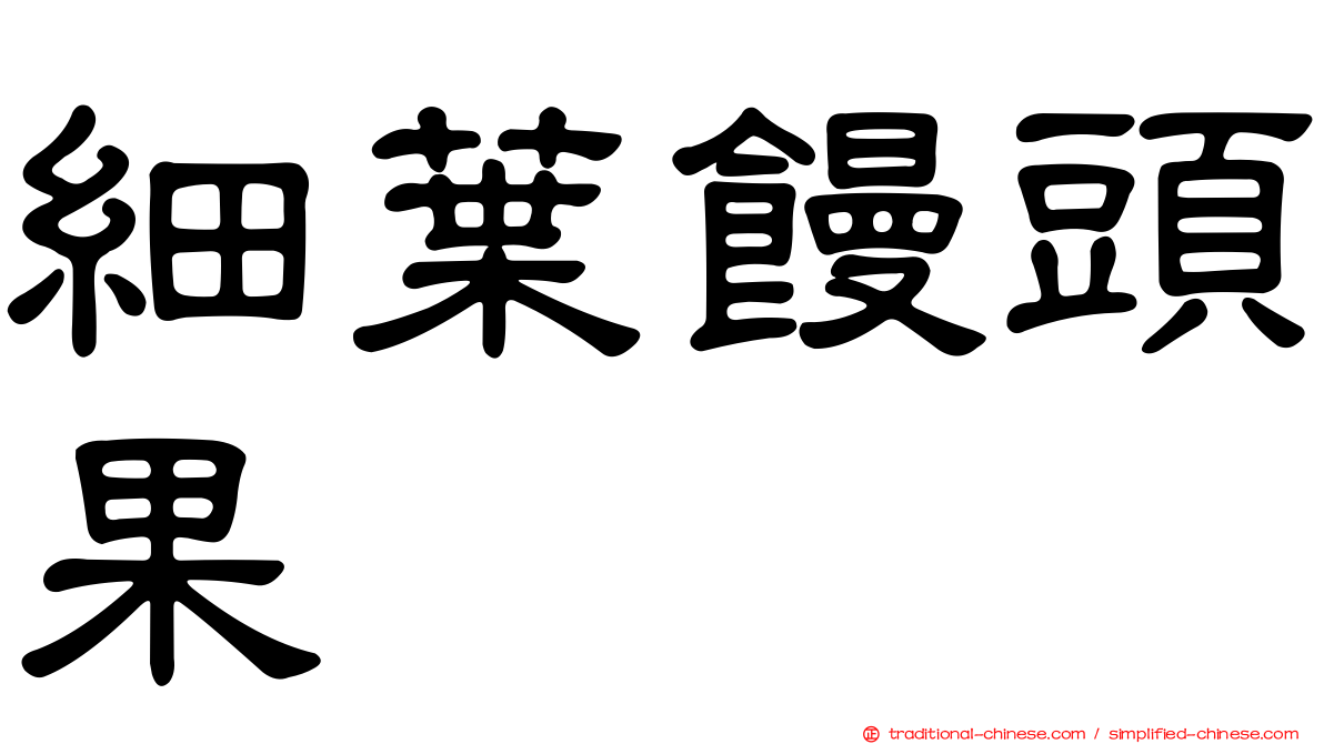 細葉饅頭果