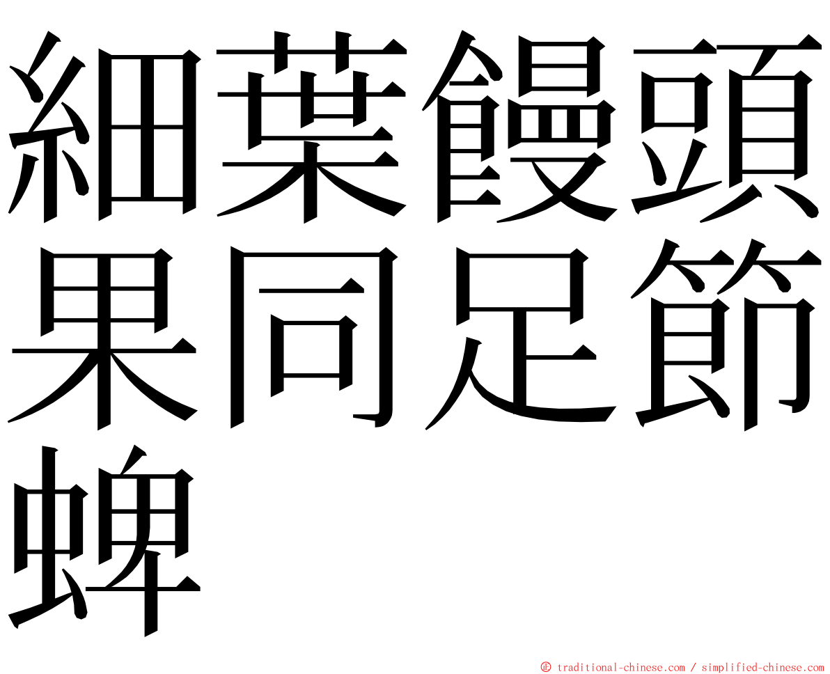 細葉饅頭果同足節蜱 ming font
