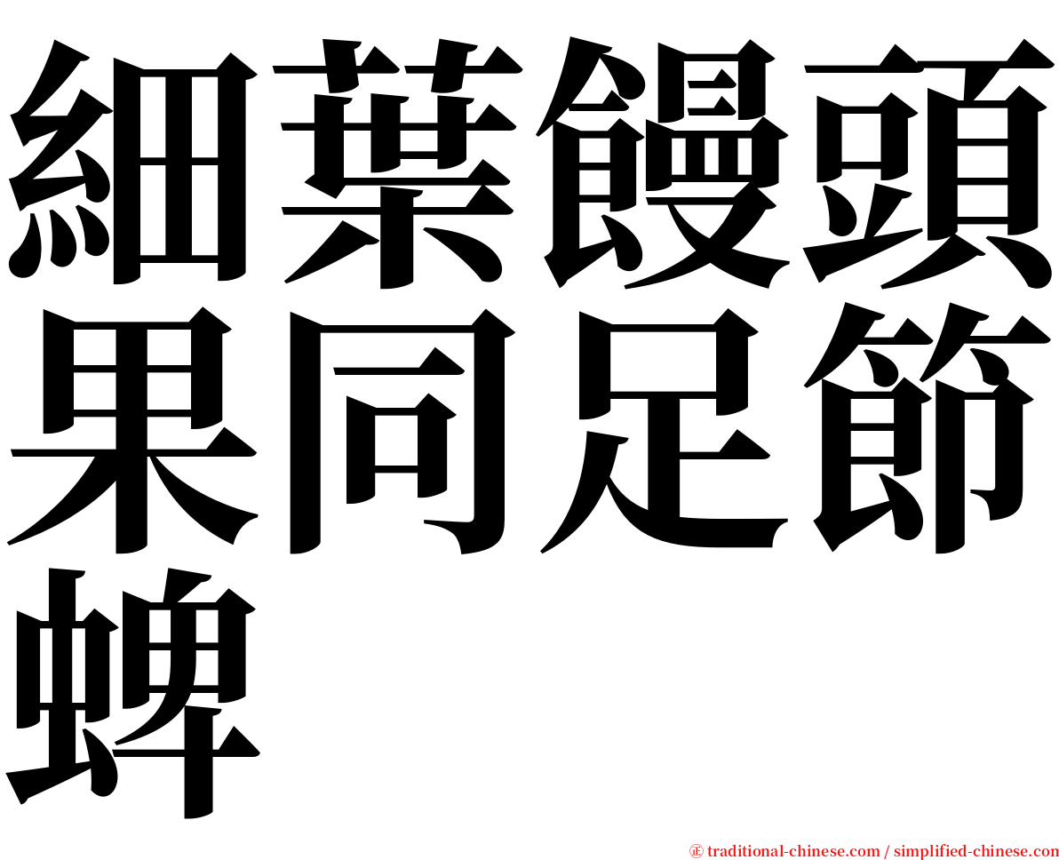 細葉饅頭果同足節蜱 serif font