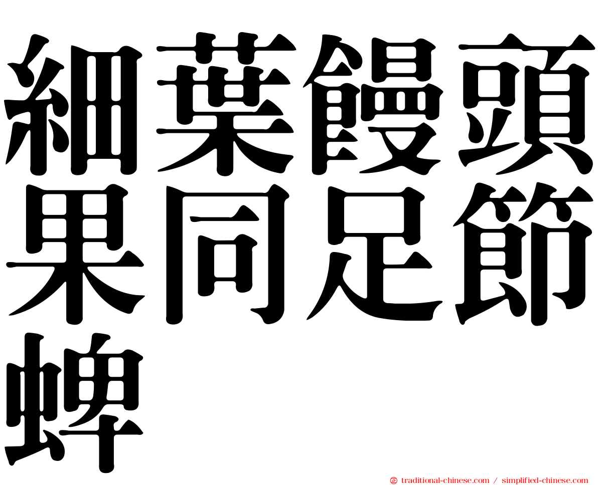 細葉饅頭果同足節蜱
