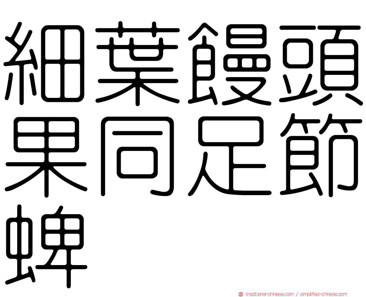 細葉饅頭果同足節蜱