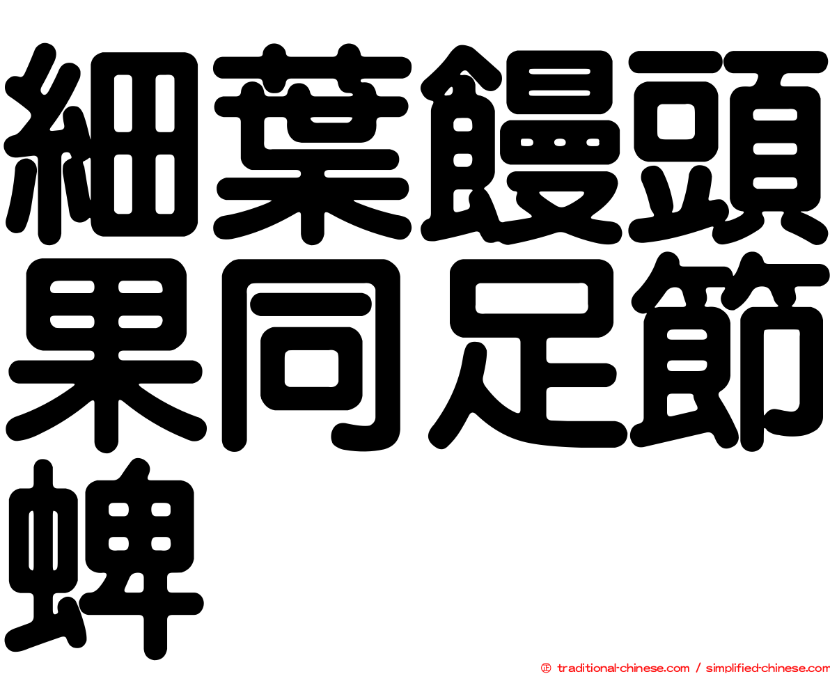 細葉饅頭果同足節蜱