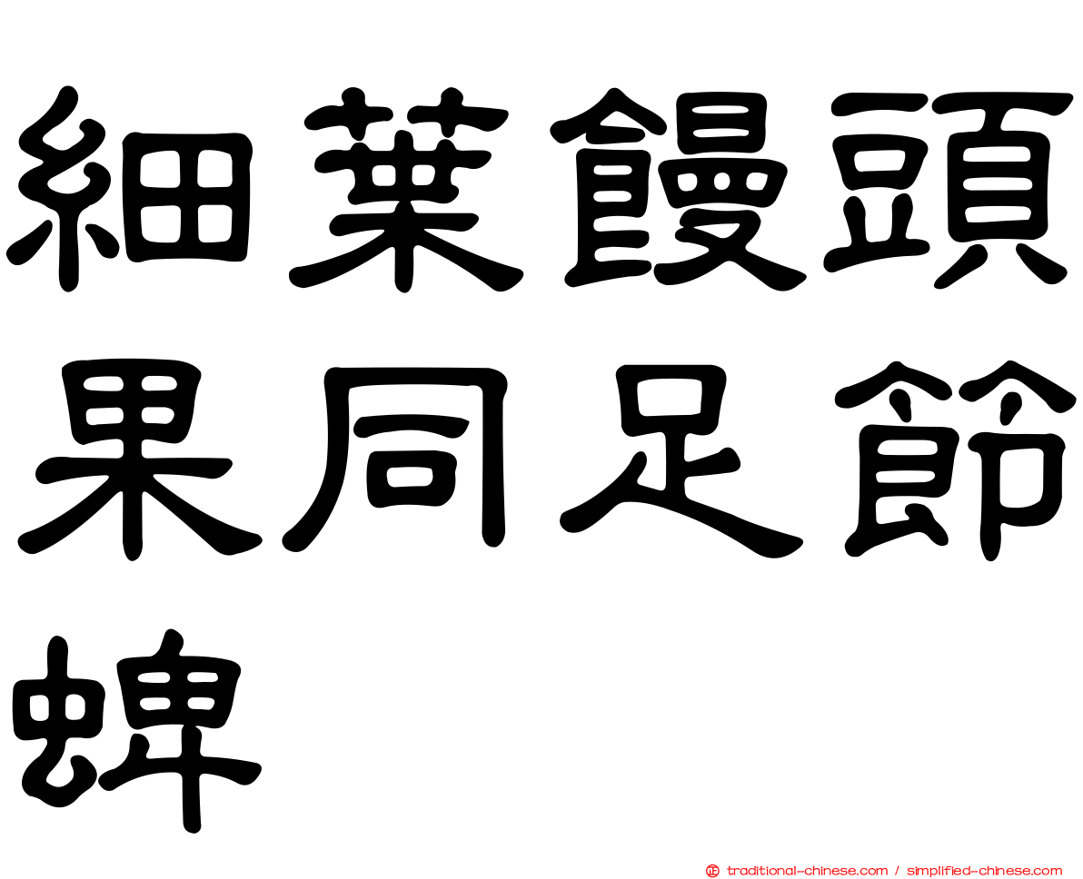 細葉饅頭果同足節蜱