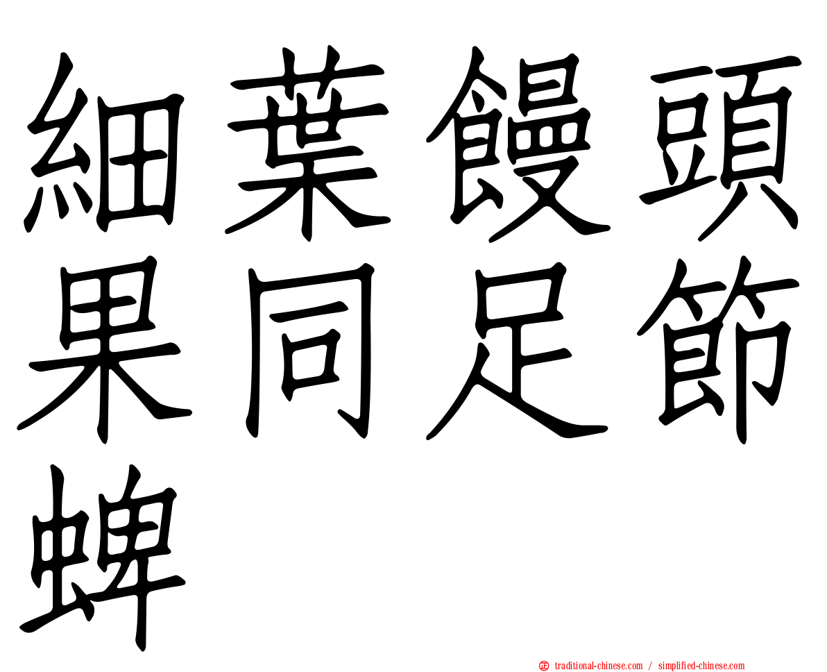 細葉饅頭果同足節蜱