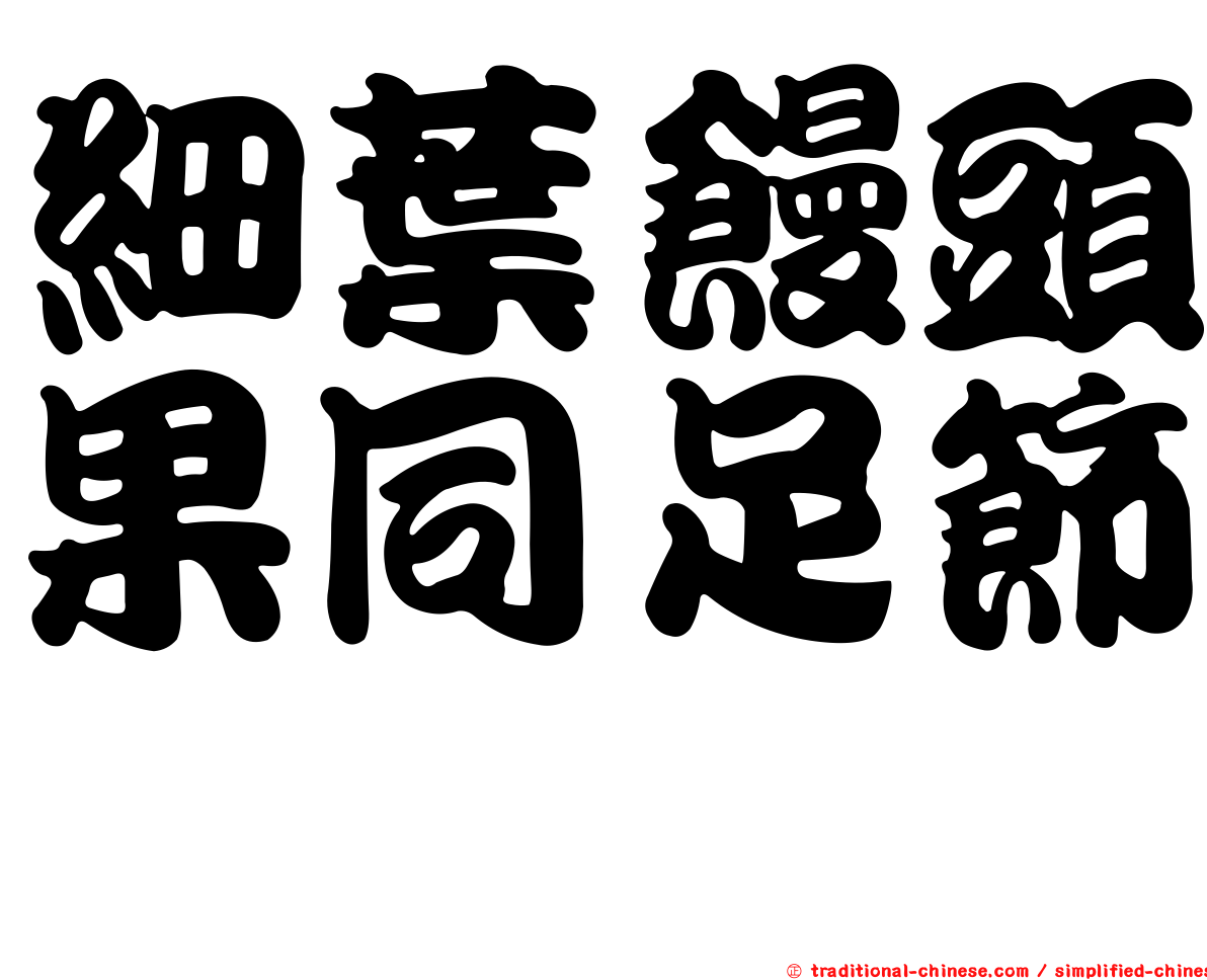 細葉饅頭果同足節蜱