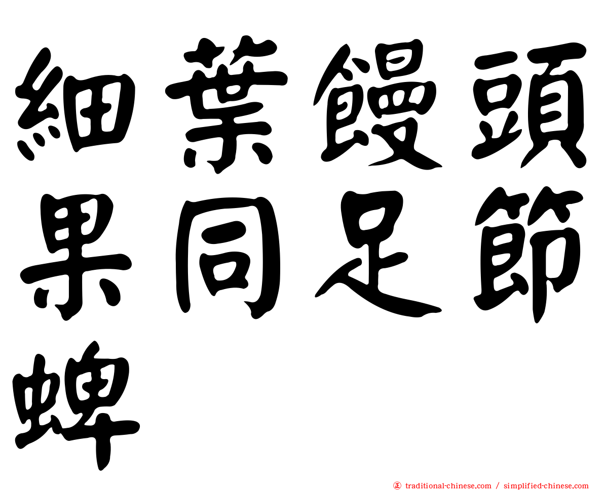 細葉饅頭果同足節蜱