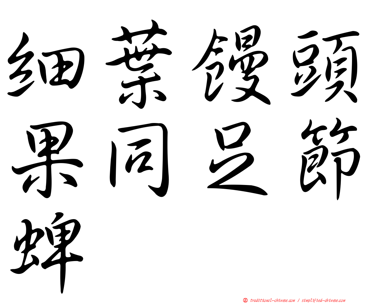 細葉饅頭果同足節蜱