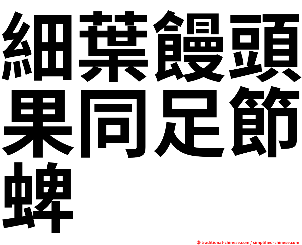 細葉饅頭果同足節蜱