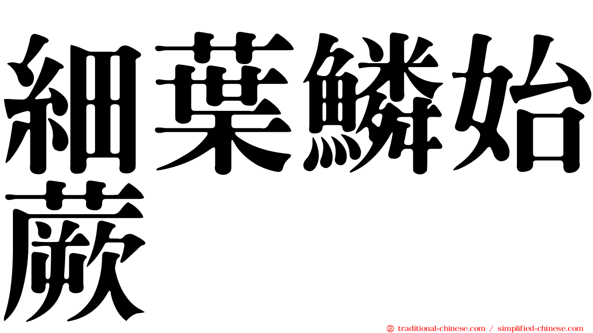細葉鱗始蕨