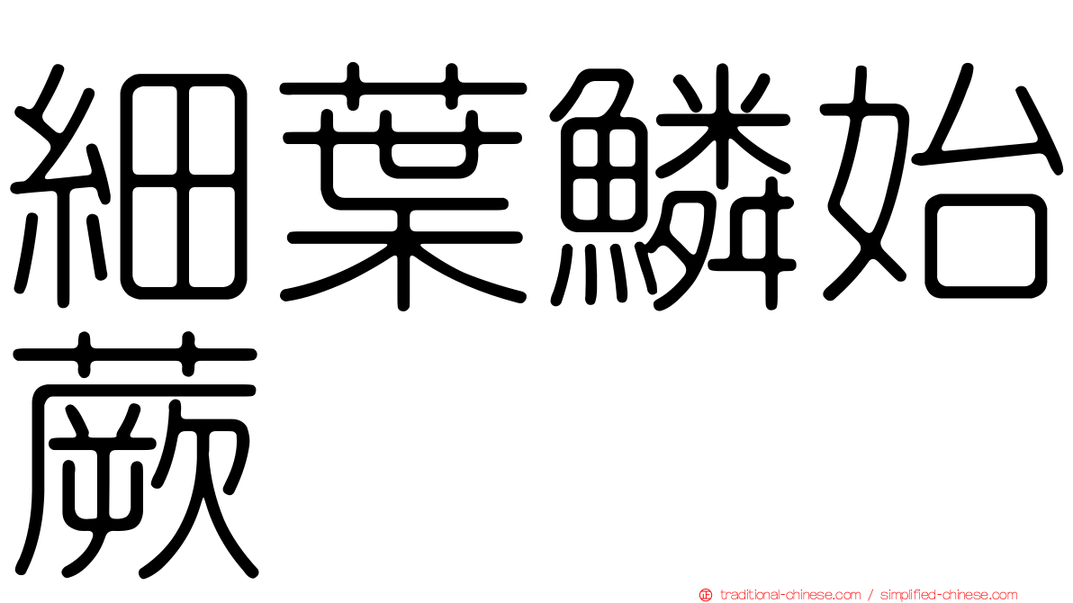 細葉鱗始蕨