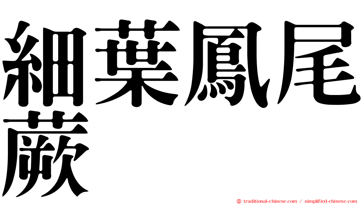 細葉鳳尾蕨