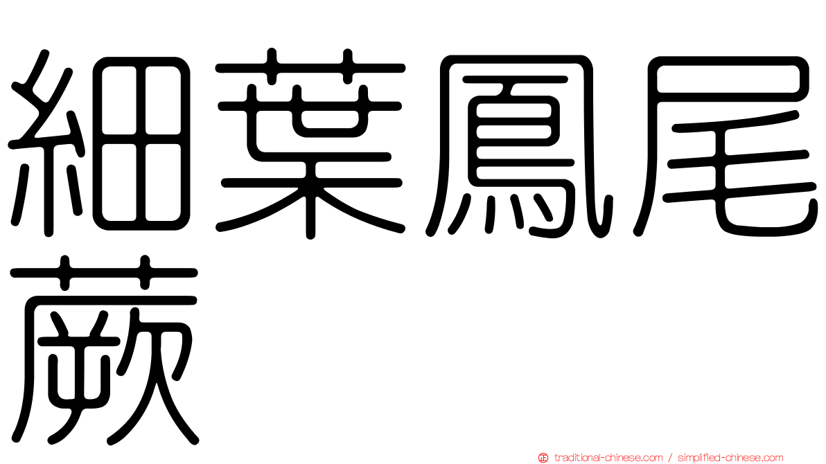 細葉鳳尾蕨
