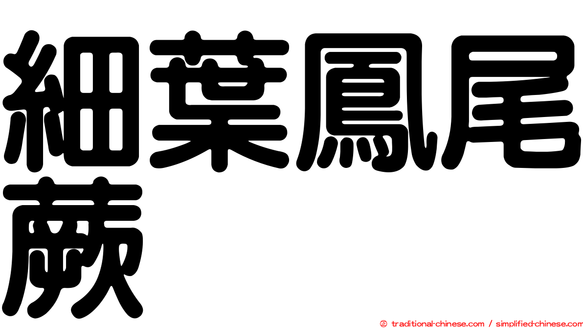 細葉鳳尾蕨