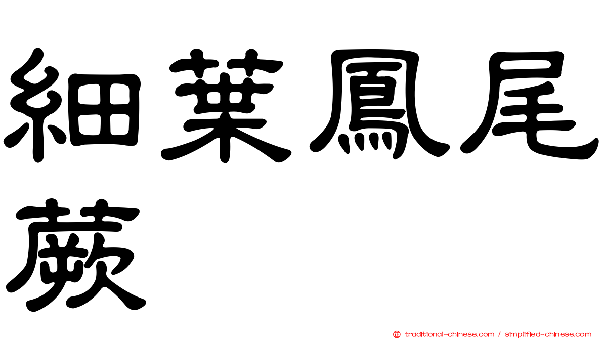 細葉鳳尾蕨