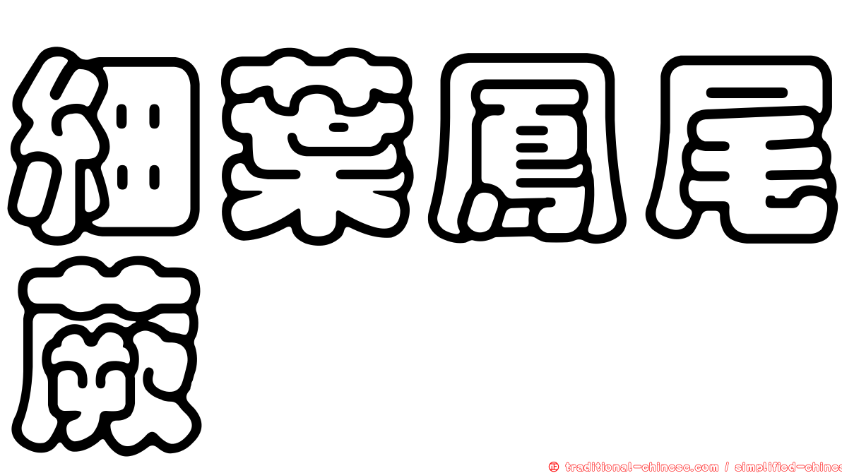 細葉鳳尾蕨