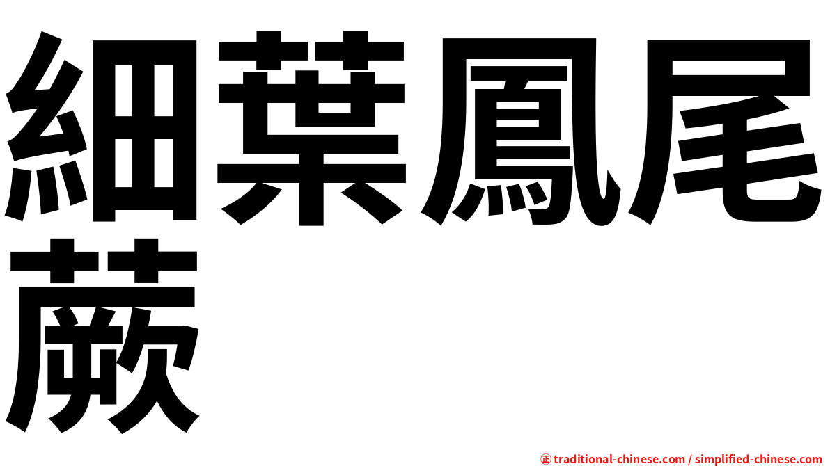 細葉鳳尾蕨