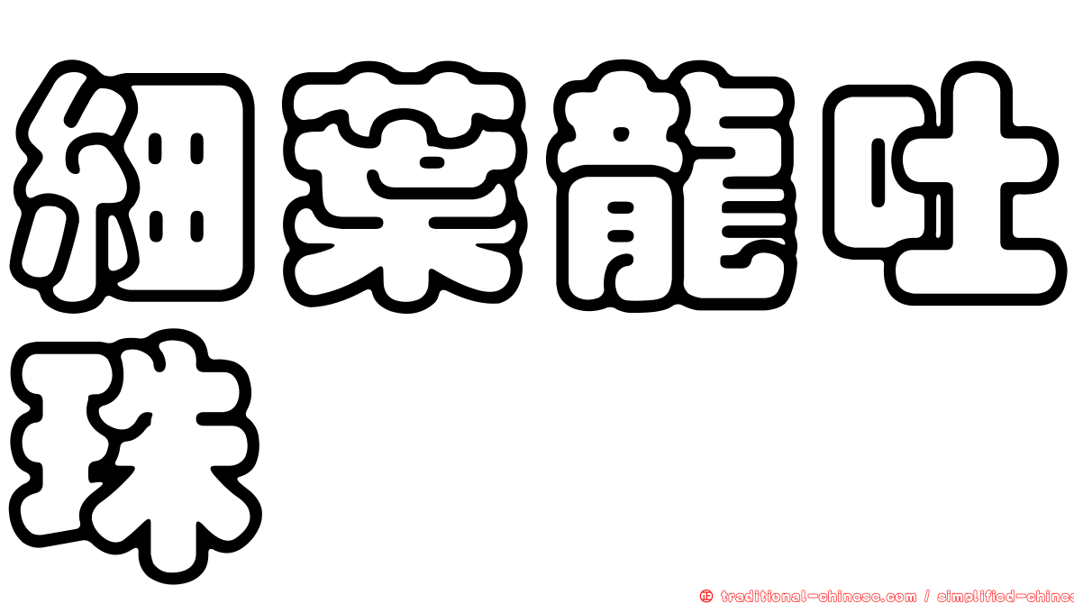 細葉龍吐珠
