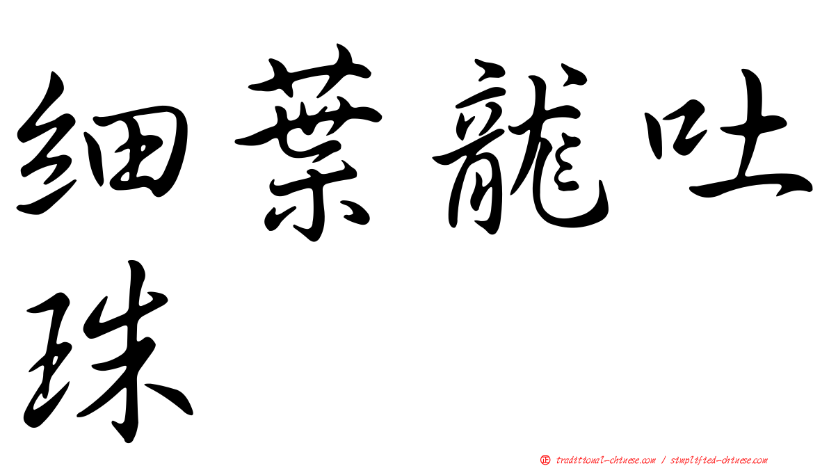 細葉龍吐珠