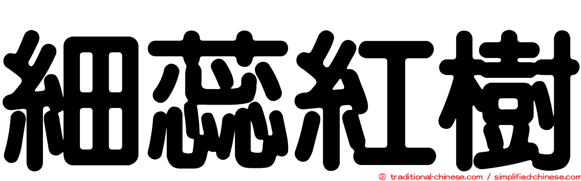 細蕊紅樹