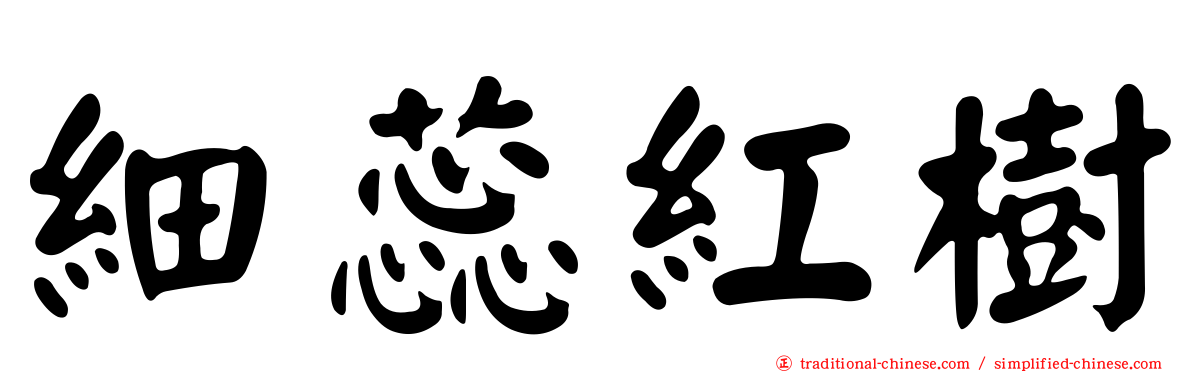 細蕊紅樹