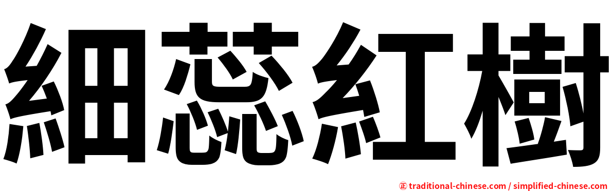 細蕊紅樹