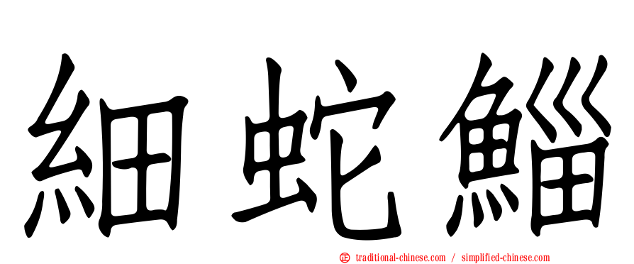 細蛇鯔