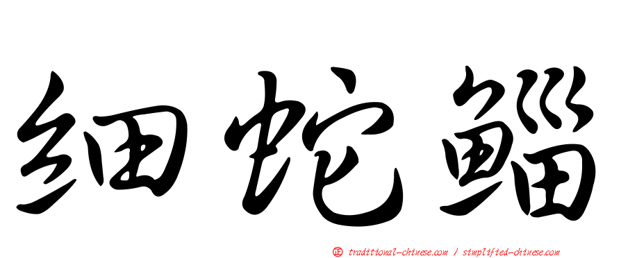 細蛇鯔