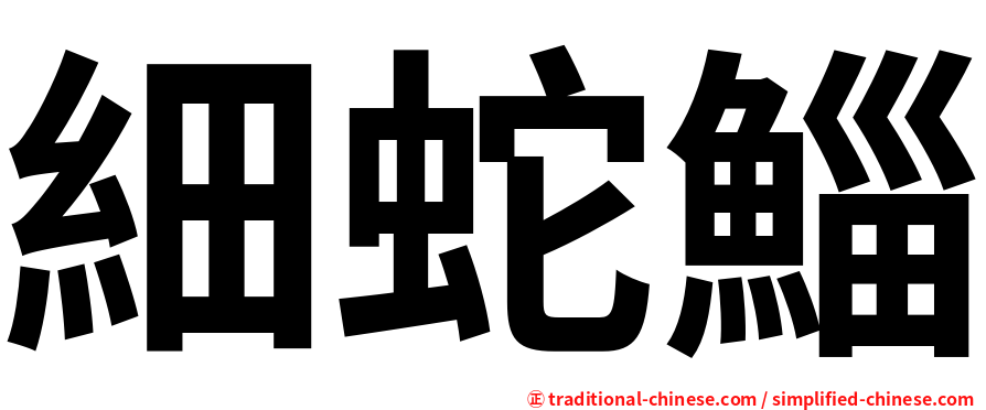 細蛇鯔