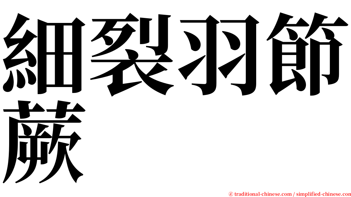 細裂羽節蕨 serif font