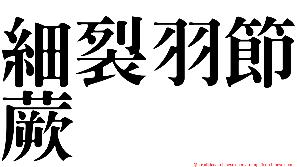 細裂羽節蕨
