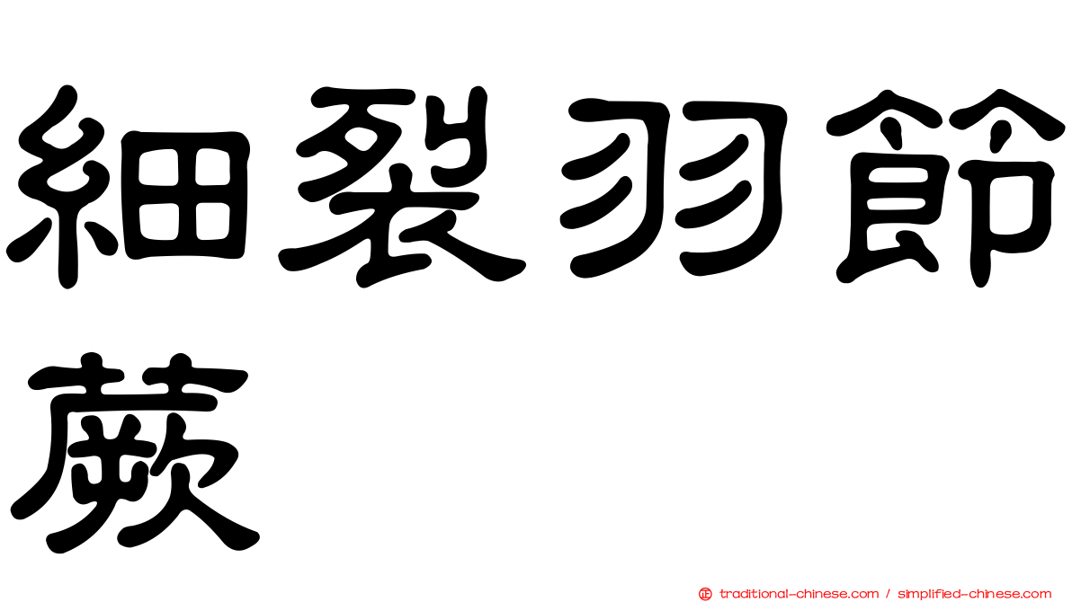 細裂羽節蕨