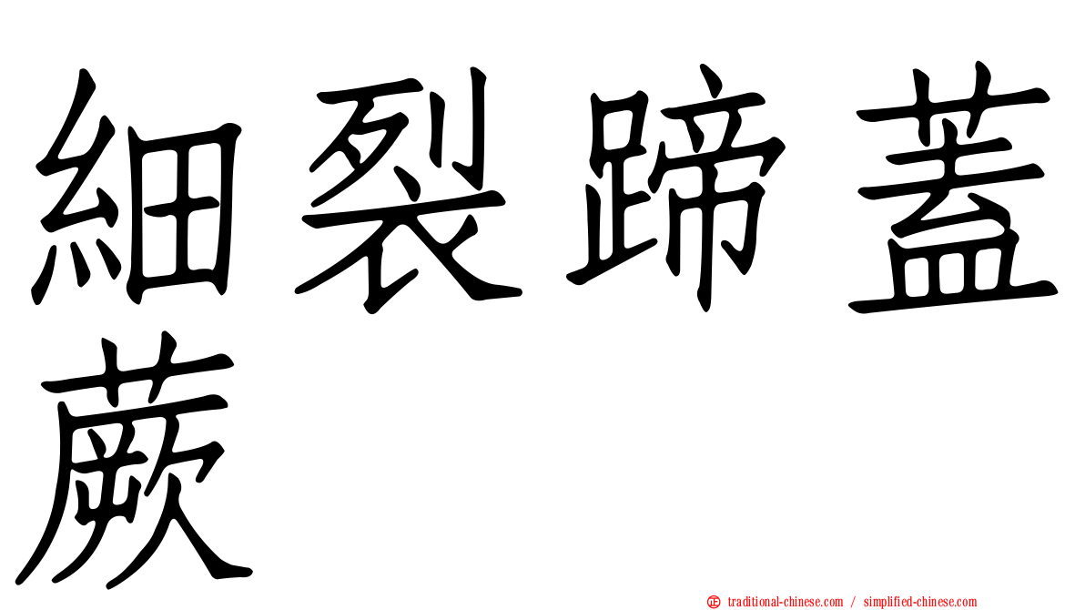細裂蹄蓋蕨