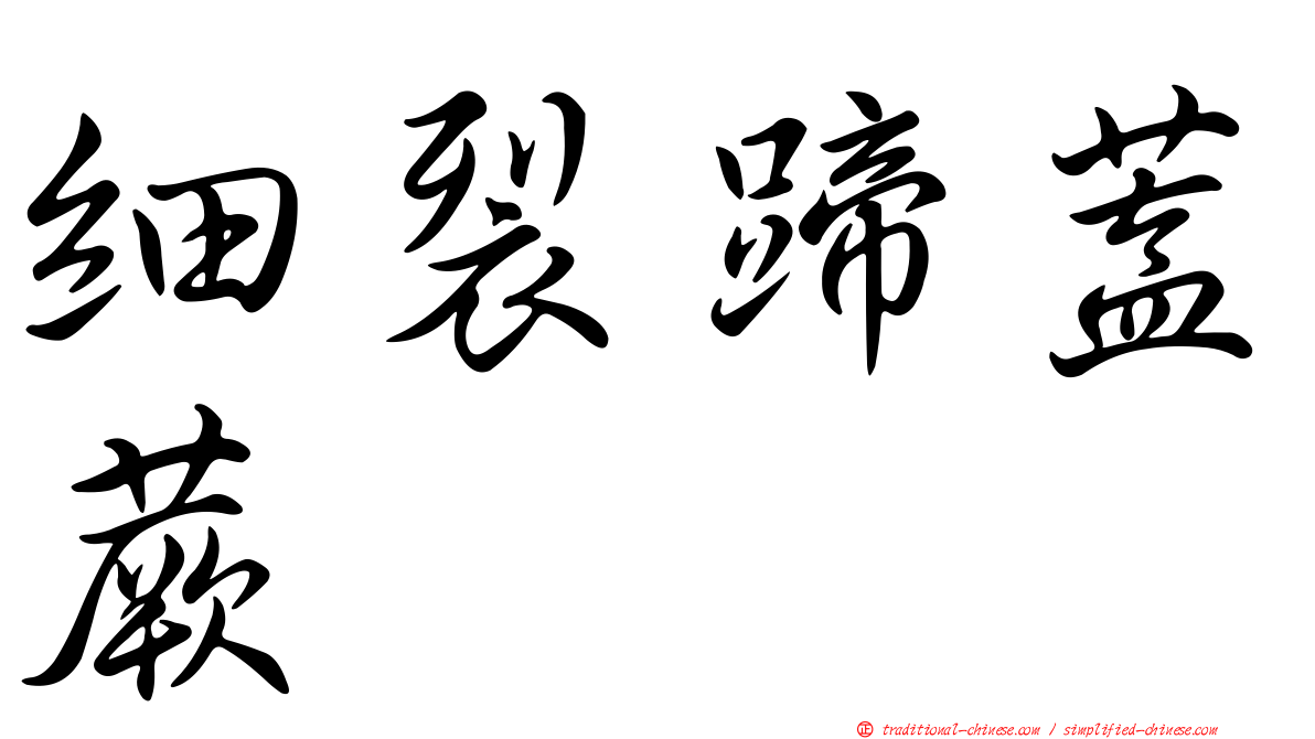 細裂蹄蓋蕨