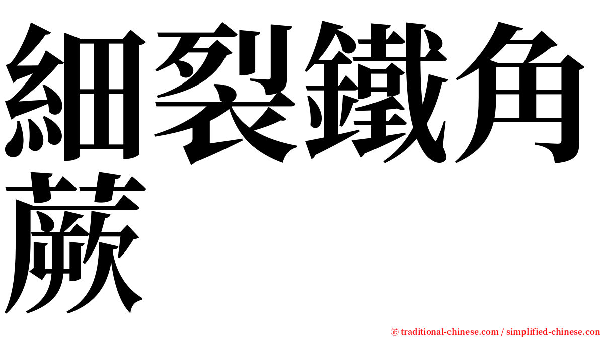 細裂鐵角蕨 serif font