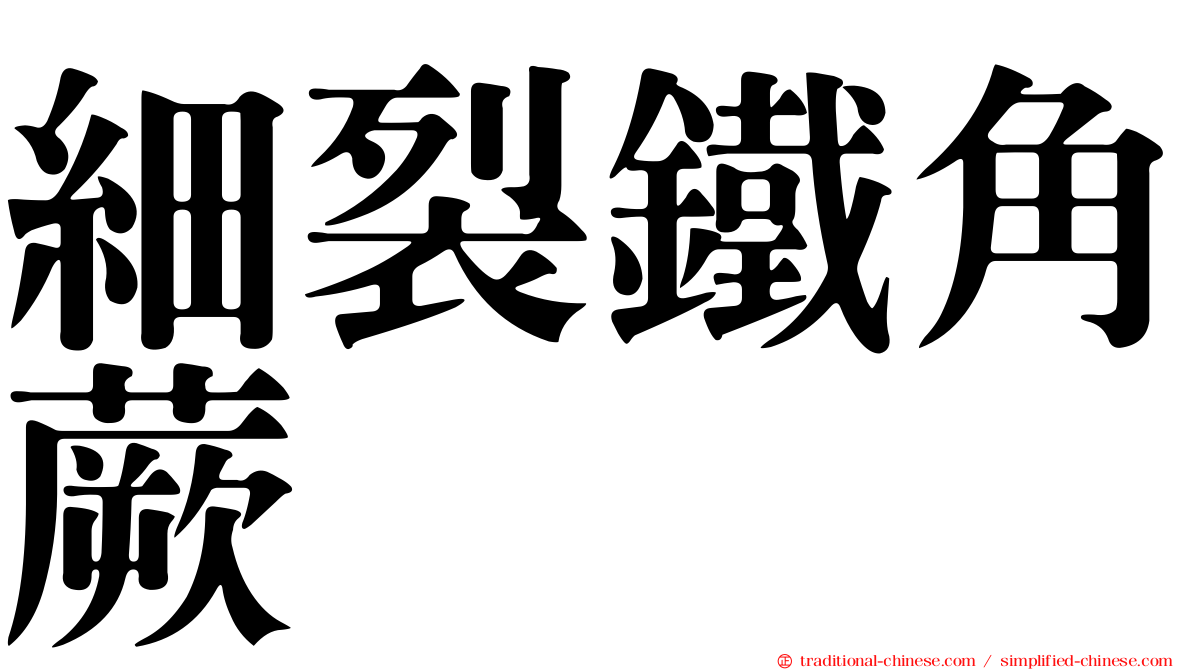細裂鐵角蕨