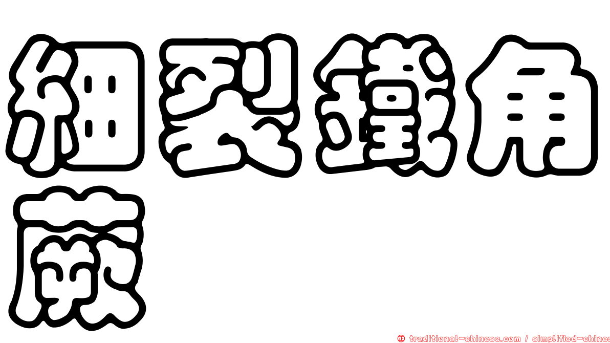 細裂鐵角蕨