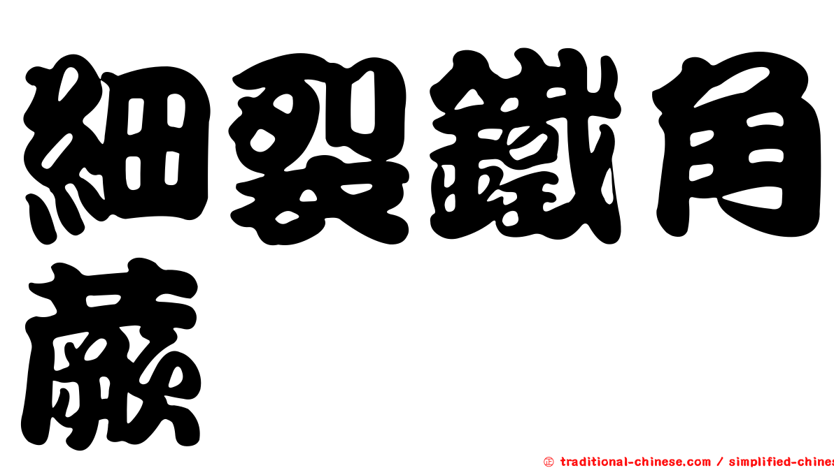 細裂鐵角蕨