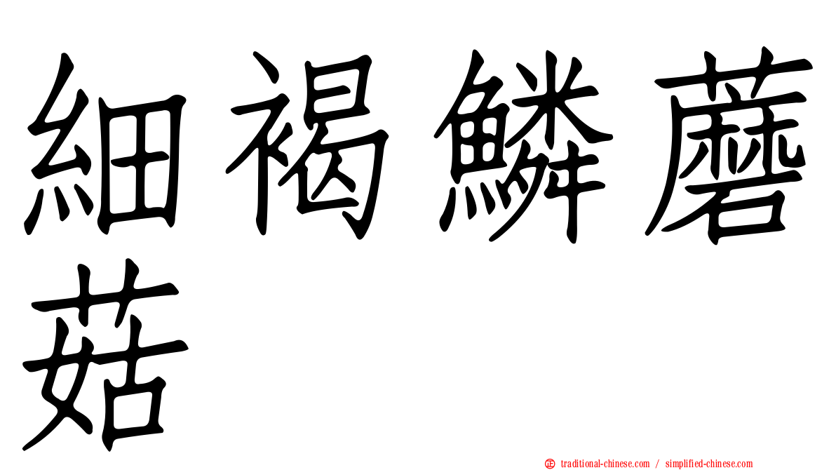 細褐鱗蘑菇
