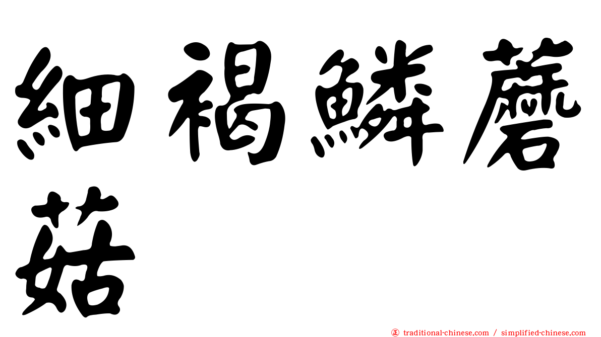 細褐鱗蘑菇