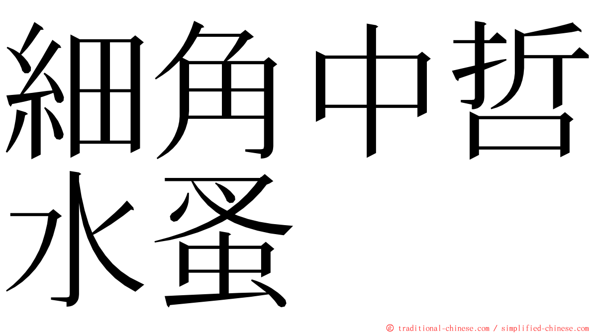細角中哲水蚤 ming font