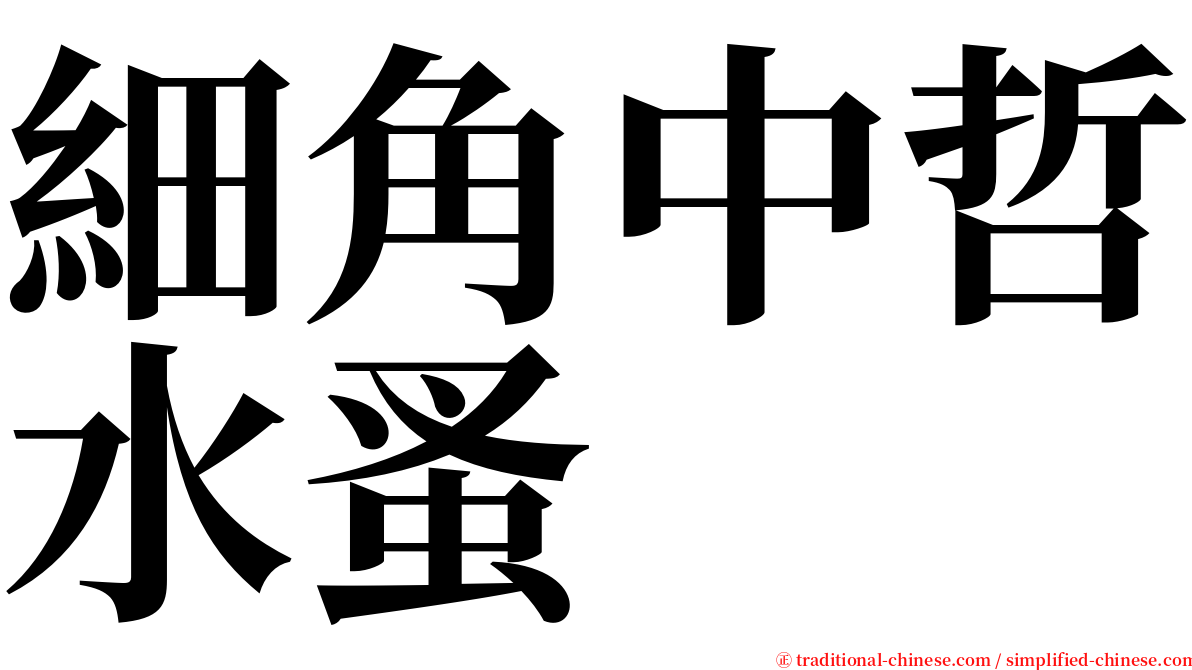 細角中哲水蚤 serif font
