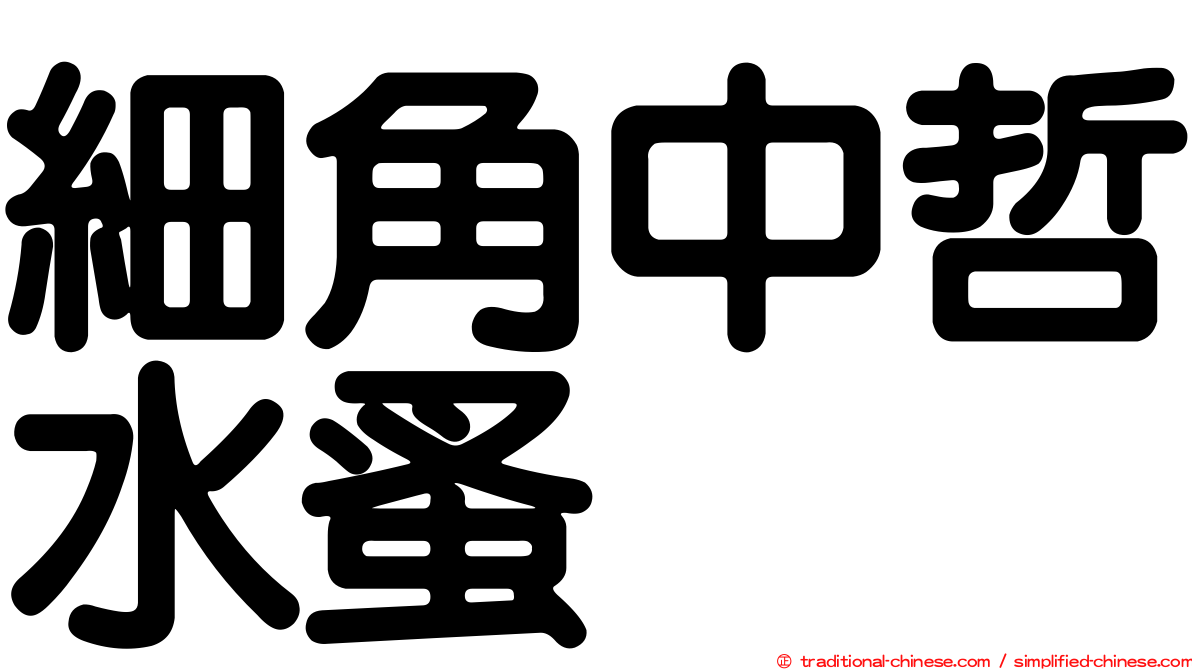 細角中哲水蚤