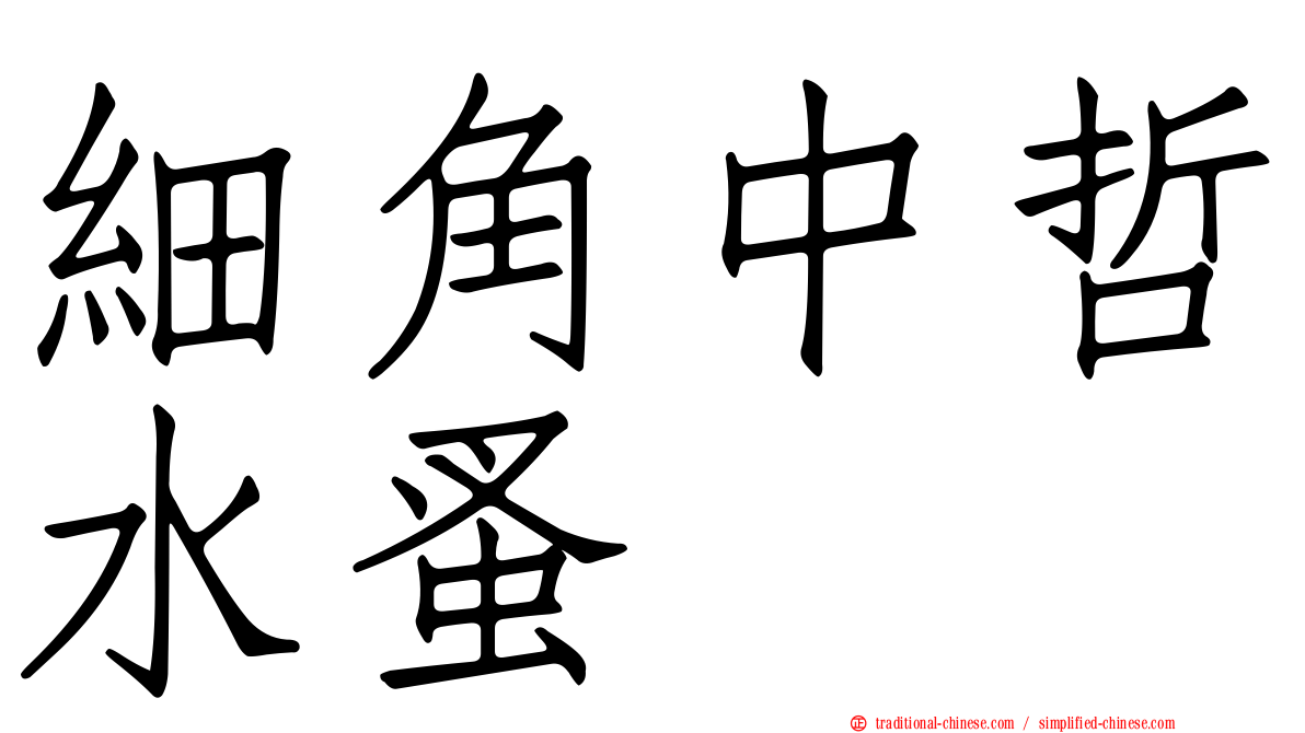 細角中哲水蚤