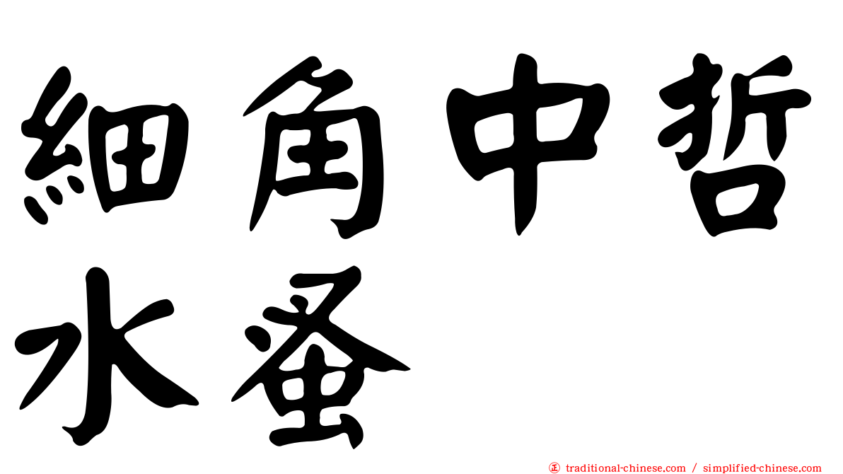 細角中哲水蚤