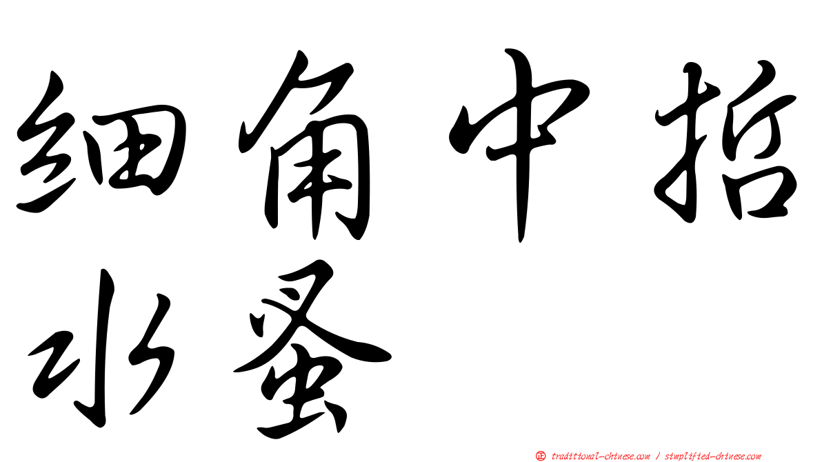 細角中哲水蚤