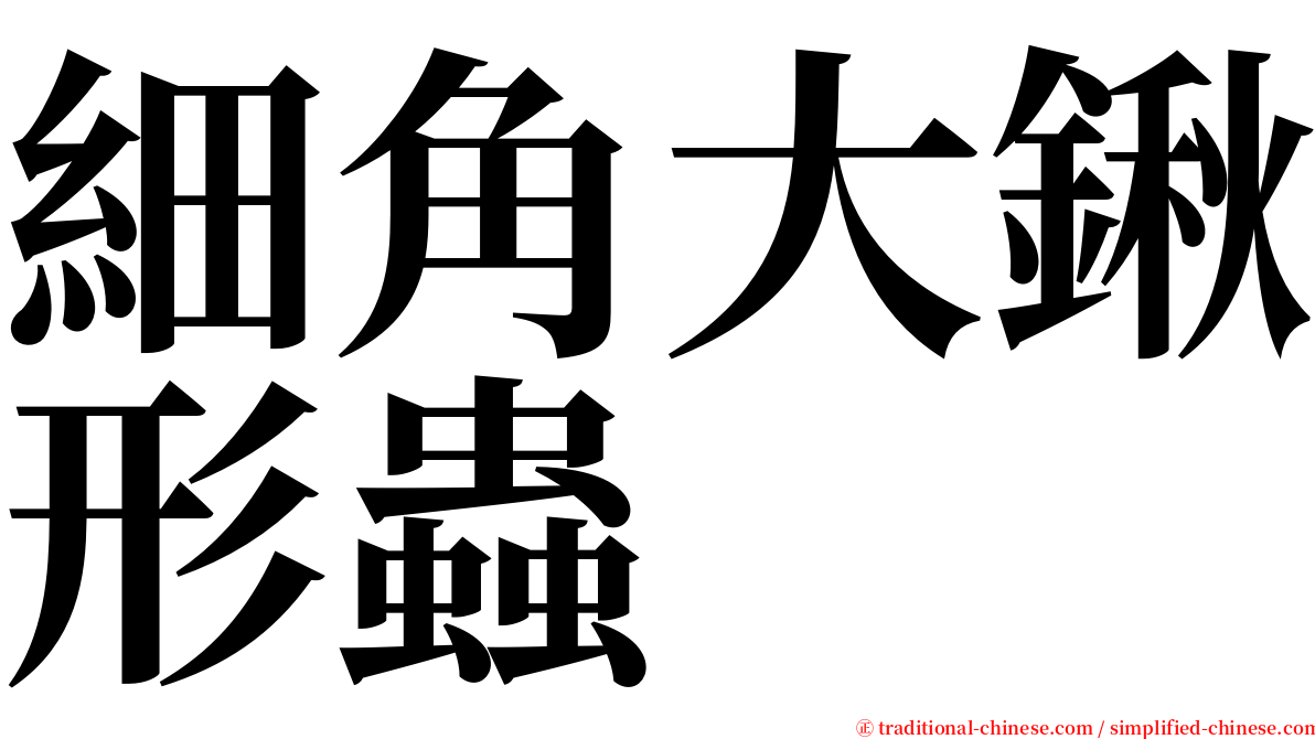 細角大鍬形蟲 serif font
