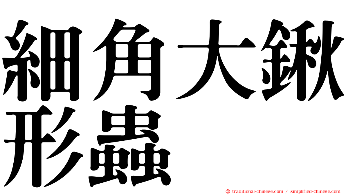 細角大鍬形蟲